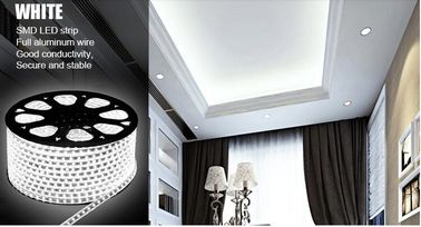A cor branca morna conduziu luzes de tira 12v/luzes de tira conduzidas exteriores IP65 impermeável